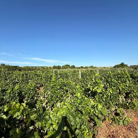 Brkic Estate