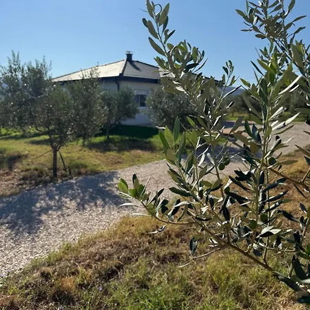 Brkic Estate *