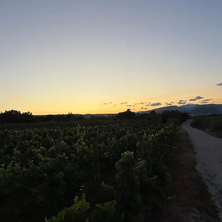 Brkic Estate Kosor
