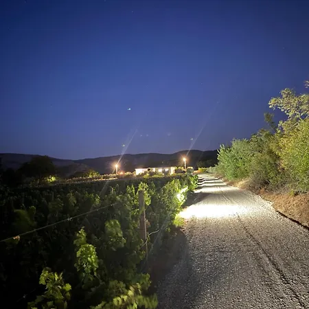 Brkic Estate Kosor