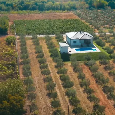 Brkic Estate Willa